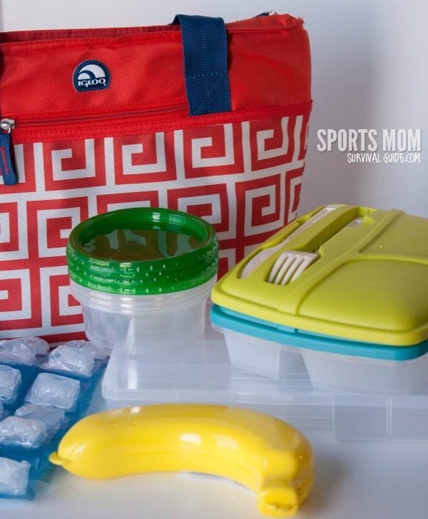 Container for Transporting Food12