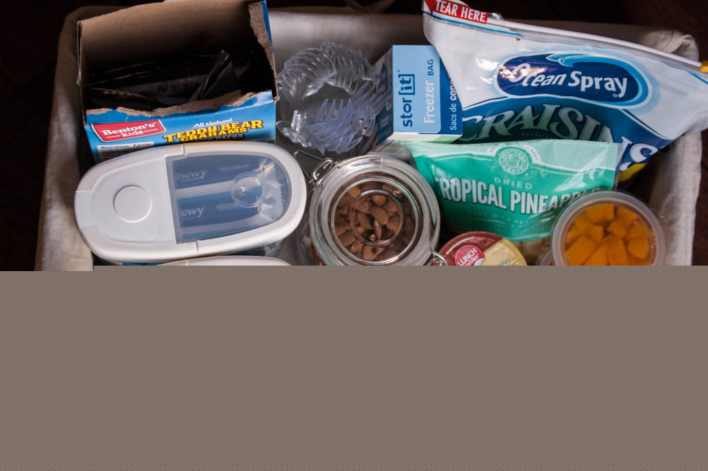 Container for Transporting Food126