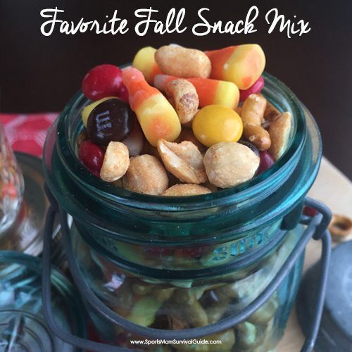 We love how easy this Fall Snack Mix is to make! Everyone who stops by can't stop eating it--a perfect mix of sweet a salty that quickly becomes addictive!