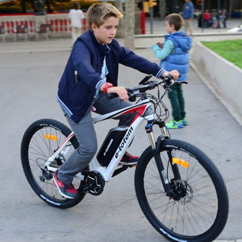 ebikes for under $1000 for kids